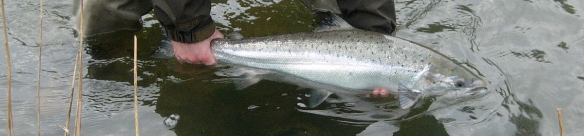 The River Torridge Fishery Association