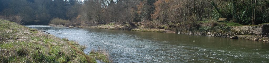 Weir Pool At Beam on River Torridge