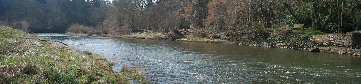 The River Torridge Fishery Association