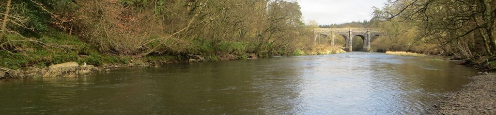 River Torridge Beam Bridge