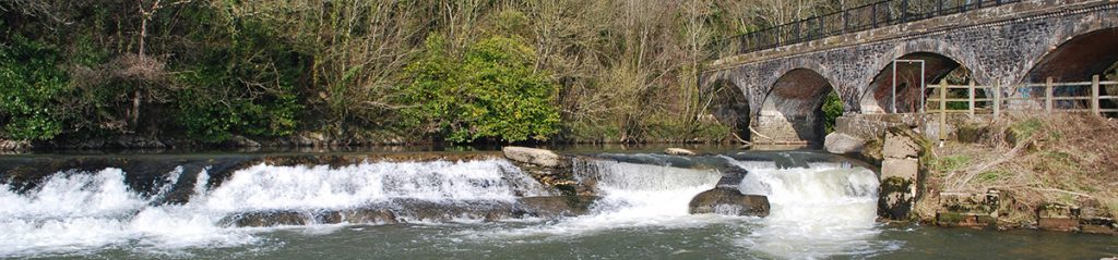 Bean Weir River Torridge