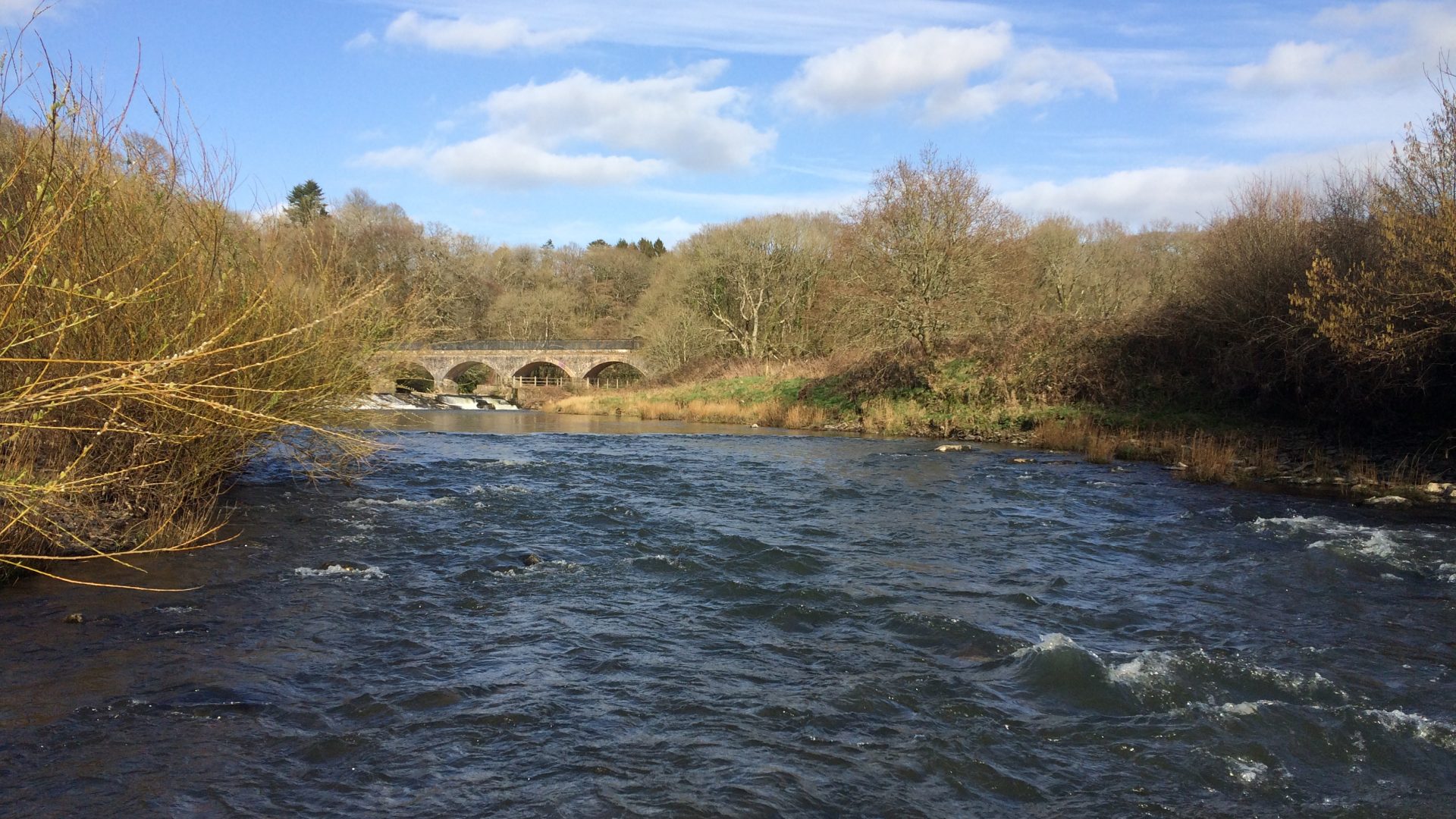 Torridge Rivers Association